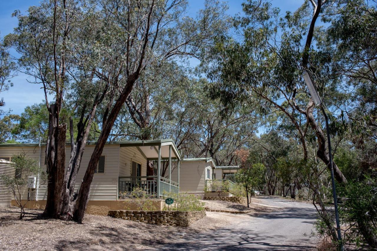 Belair National Park Holiday Park Eksteriør bilde