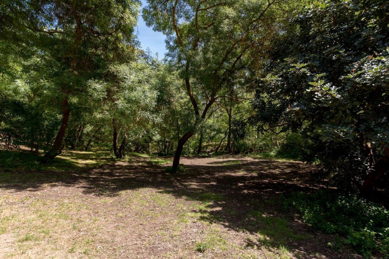 Belair National Park Holiday Park Eksteriør bilde